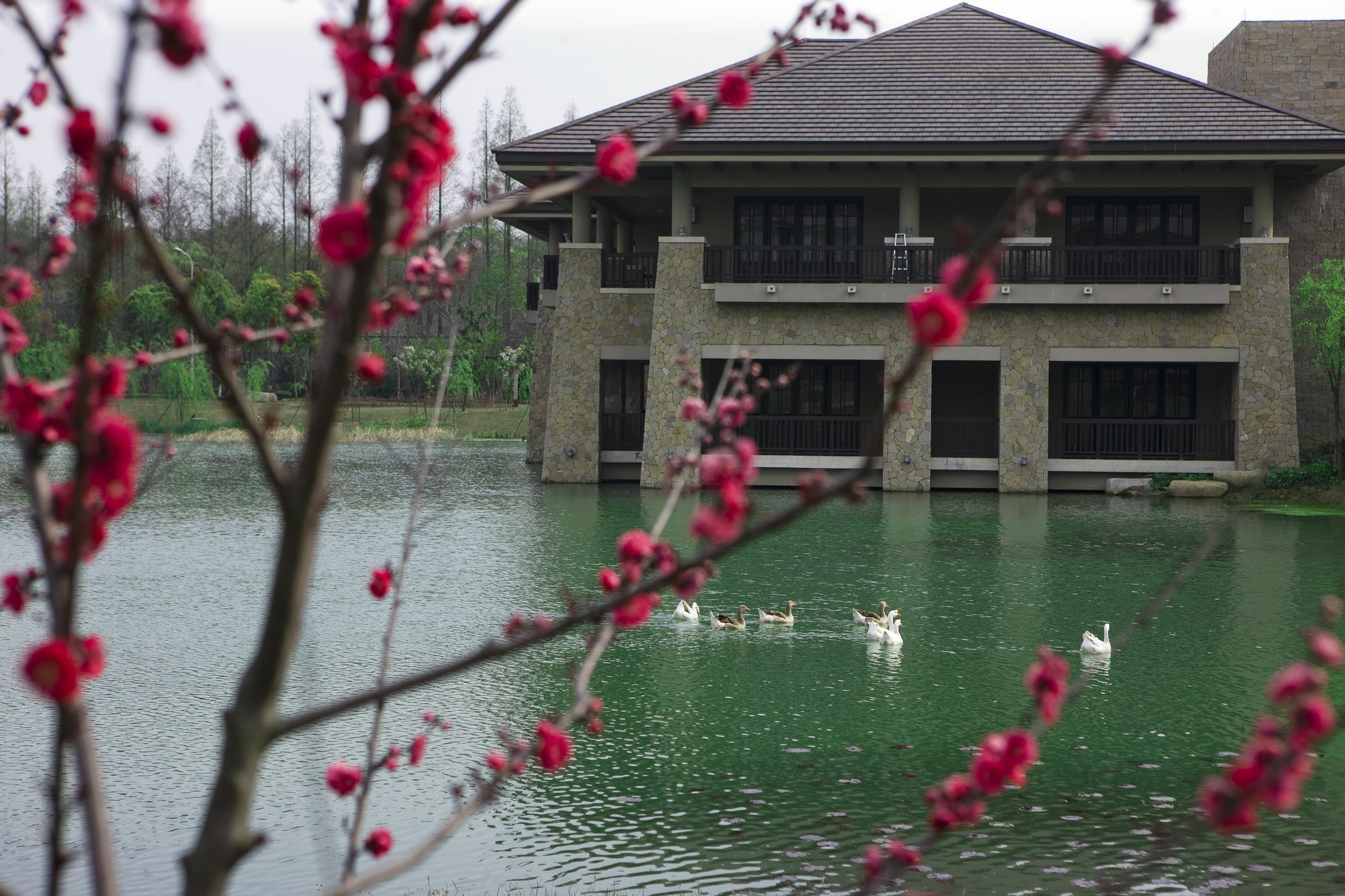 Narada Resort & Spa Liangzhu Hangzhou Dış mekan fotoğraf